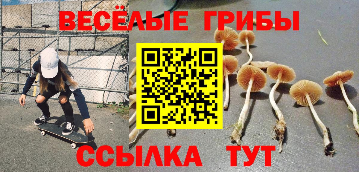 Благовещенск  Псилоцибиновые грибы Psilocybe  цена наркотик  Вход с VPN 